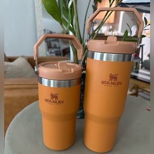 Mama and Me Stanley Stanley Flip Straw Tumbler